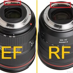 ما الفرق بين عدسات EF وعدسات RF من كانون؟ وماذا تعني عدسات EF-M؟